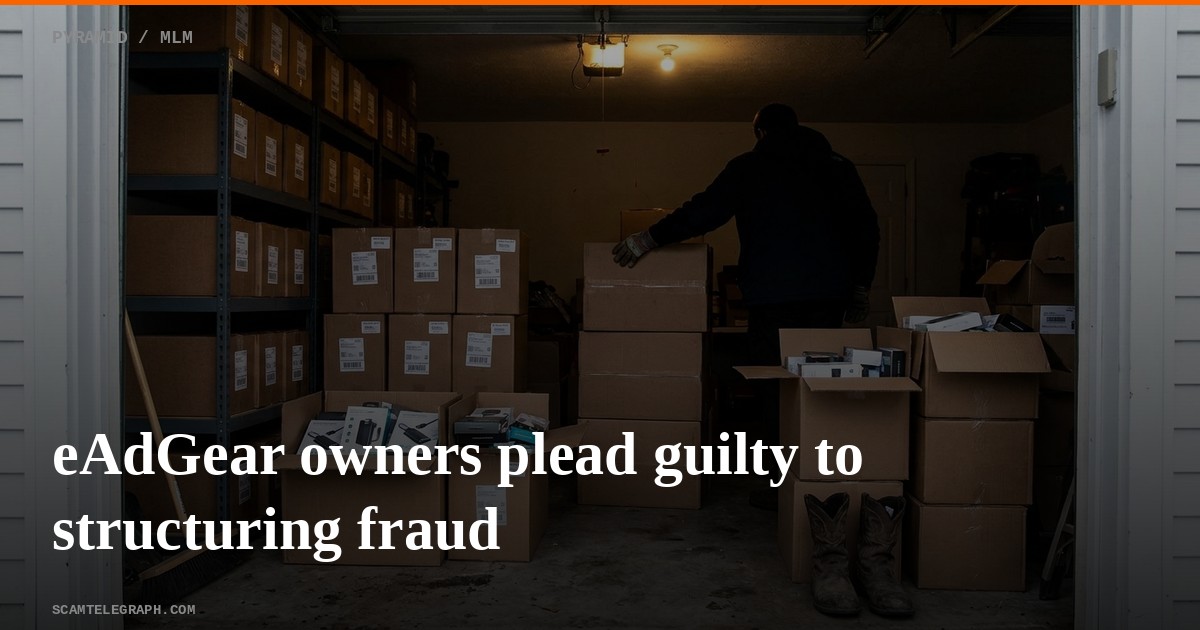 eAdGear owners plead guilty to structuring fraud