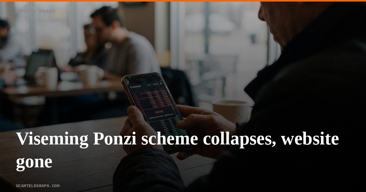 Viseming Ponzi scheme collapses, website gone
